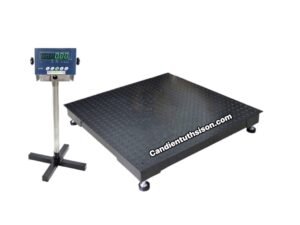 Cân Sàn Điện Tử B19S 2 Tấn