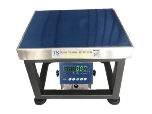 Cân ghế B19S Amcells USA 100kg 200kg