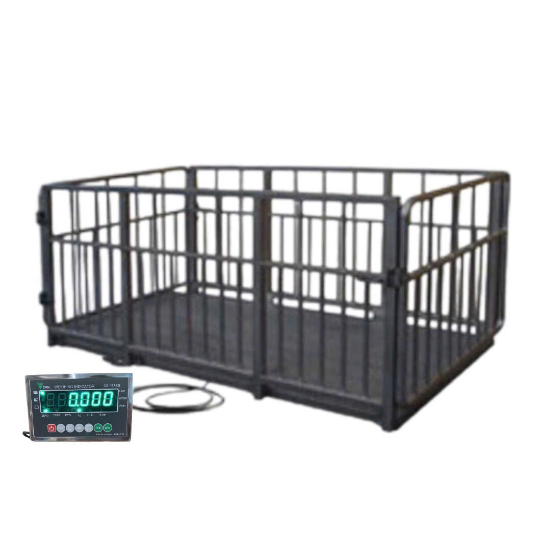 Sàn Cân Heo DS-167SS2Tấn
