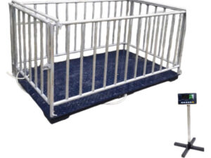 Sàn Cân Heo 1 Tấn 2 Tấn Keli-T9