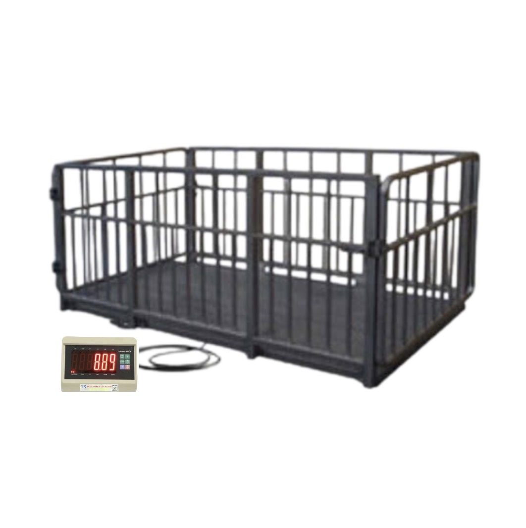 Sàn Cân Heo 2 Tấn XK3190- T7E