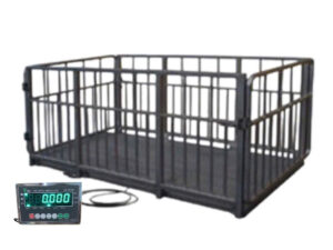 Cân,Trâu Bò Điện Tử