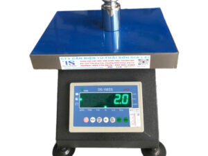 Cân Ghế Hộp Điện Tử DS-166SS 300Kg