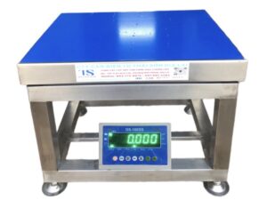 Cân Ghế Inox DS-166 ABS 300Kg